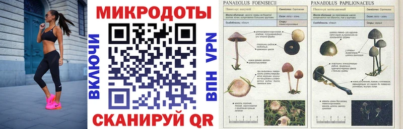 Псилоцибиновые грибы ЛСД  Ступино 