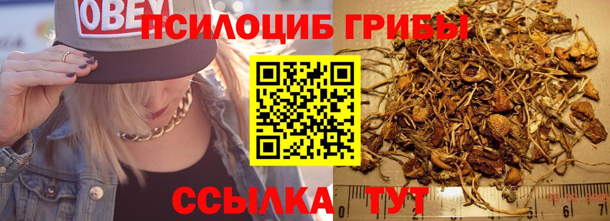 Галлюциногенные грибы мицелий  Псилоцибиновые грибы мухоморы  где купить наркоту  Ступино  Вход с VPN 